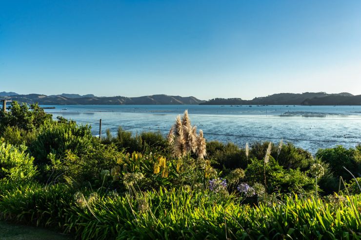 , Notes de voyage : Péninsule de Coromandel, Nouvelle-Zélande